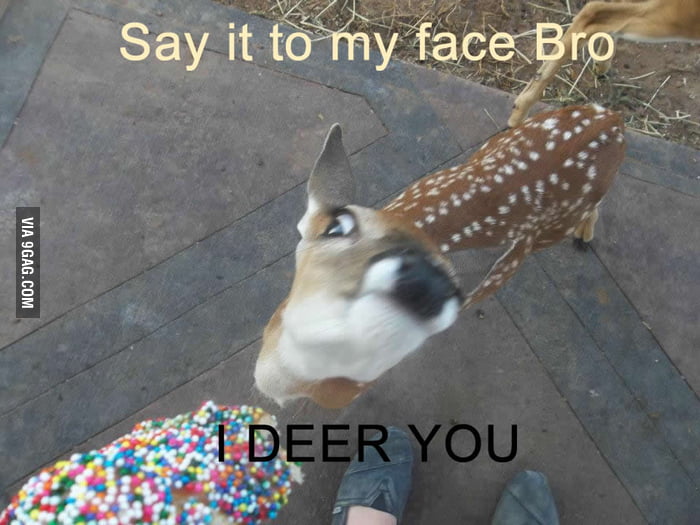 6688714_700b_v1.jpg