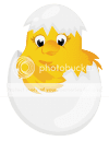 Easter_Chicken_in_Egg_Transparent_PNG_Clipart_zpsggtzyh1n.png