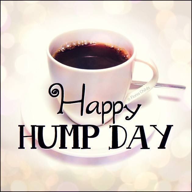 happy-hump-day.jpg