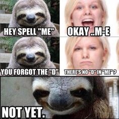 429b2a27f90c01abbe4f307b25b8d4c7.jpg