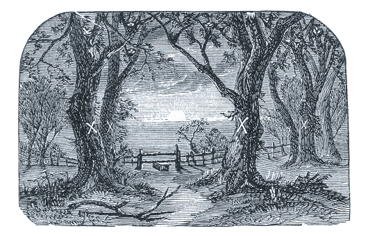tract26.gif