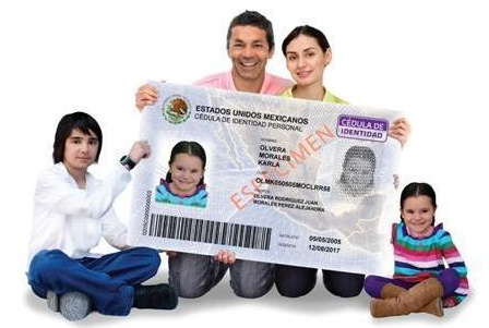 mexican-id.jpg