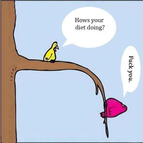 birds2.jpg
