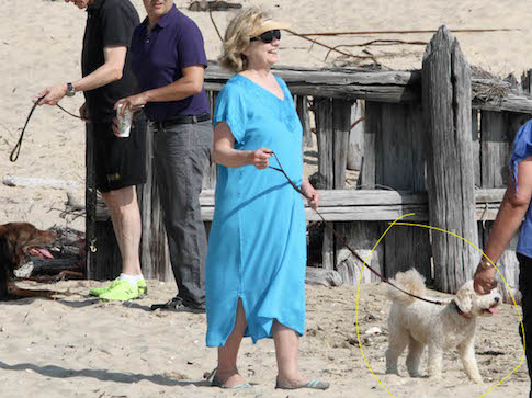 Hillary-service-dog.jpg