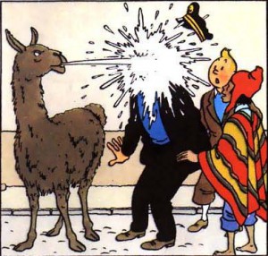 tintin-lama-300x286.jpg