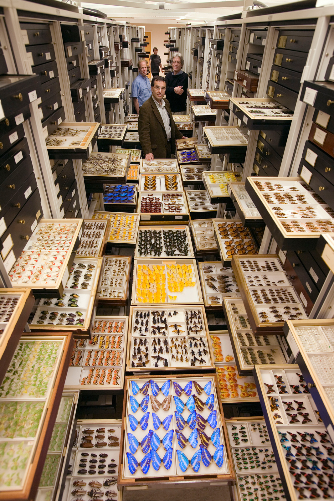 Entomology_staff_lg.jpg