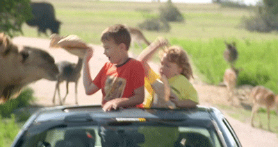 tumblr_mixsfs4YM71qcd5kxo2_400.gif