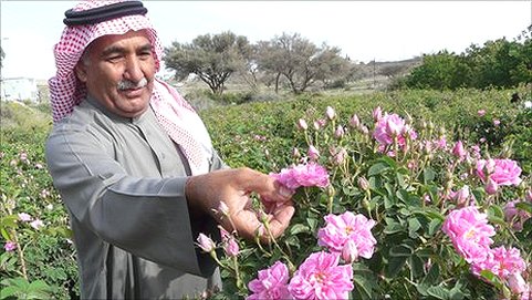 taif-roses1.jpg