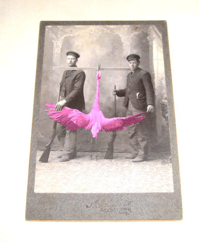 pink%20crane%20hunters.jpg