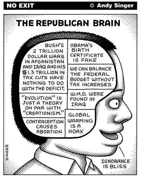 brain2.jpg