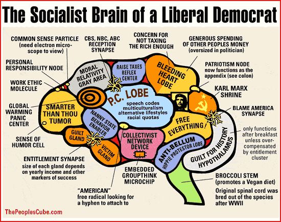 liberal-democrat-brain-1.jpg