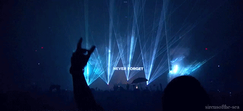 tumblr_ng2q9svEU61rbytkfo1_500.gif