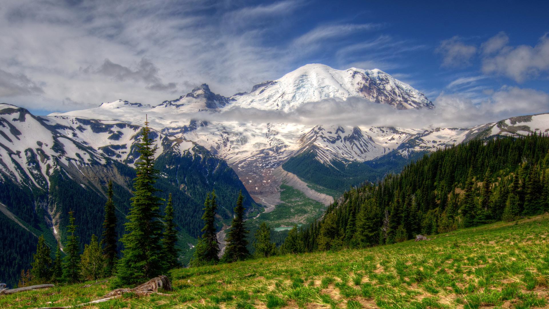 beautiful-washington-1.jpg