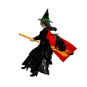 witchbroomcat.gif