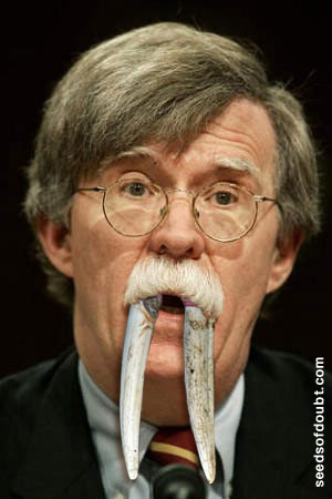 Bolton-Walrus.jpg