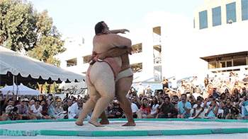 tumblr_mwuglu5UkD1ry1rm7o1_400.gif
