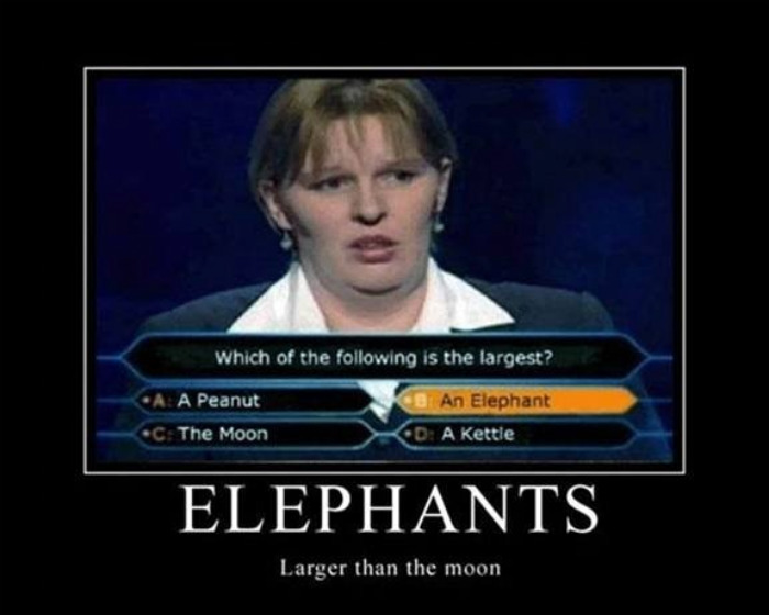stupid-people.jpg