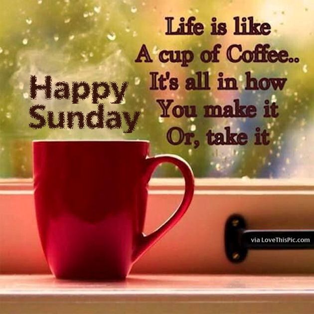 240819-Happy-Sunday-Life-Is-Like-A-Cup-Of-Coffee.jpg