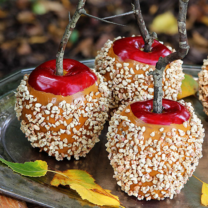 Faux-Caramel-Apples-9079.jpg
