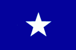 confederateflags.org