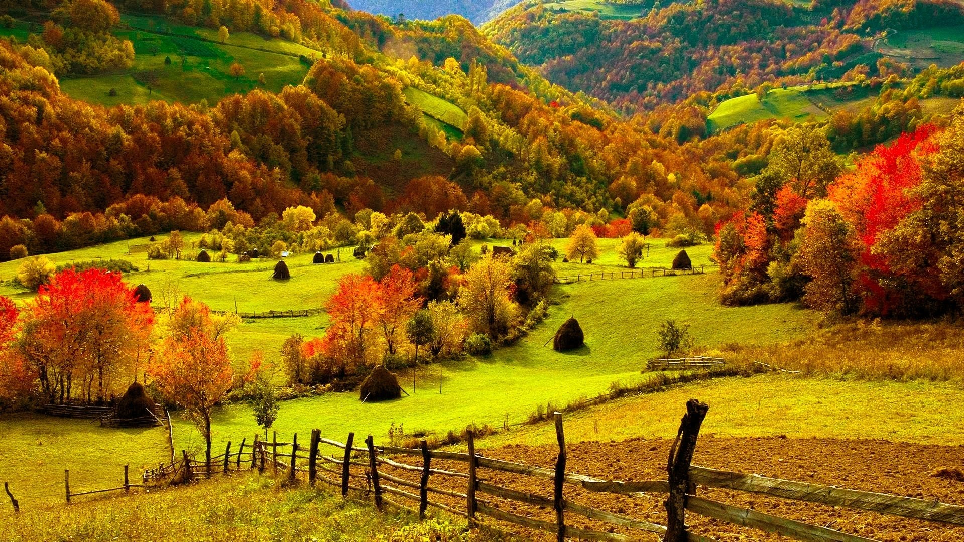 fall-scenery-3.jpg
