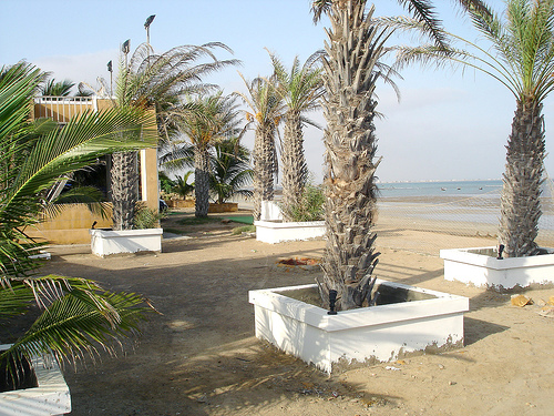 french+beach.jpg