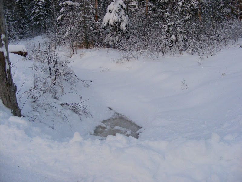 DSCF0242.JPG