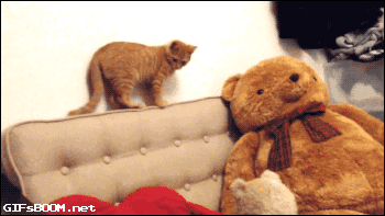 tumblr_ni5mgsE5e61s02vreo1_400.gif