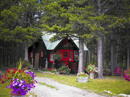 cute-flowers-garden-house-nature-pretty-Favim.com-101688.jpg