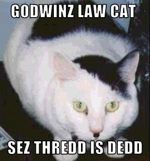 godwincat.jpg
