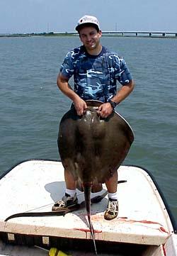 PATWSOUTHERSTINGRAY.jpg
