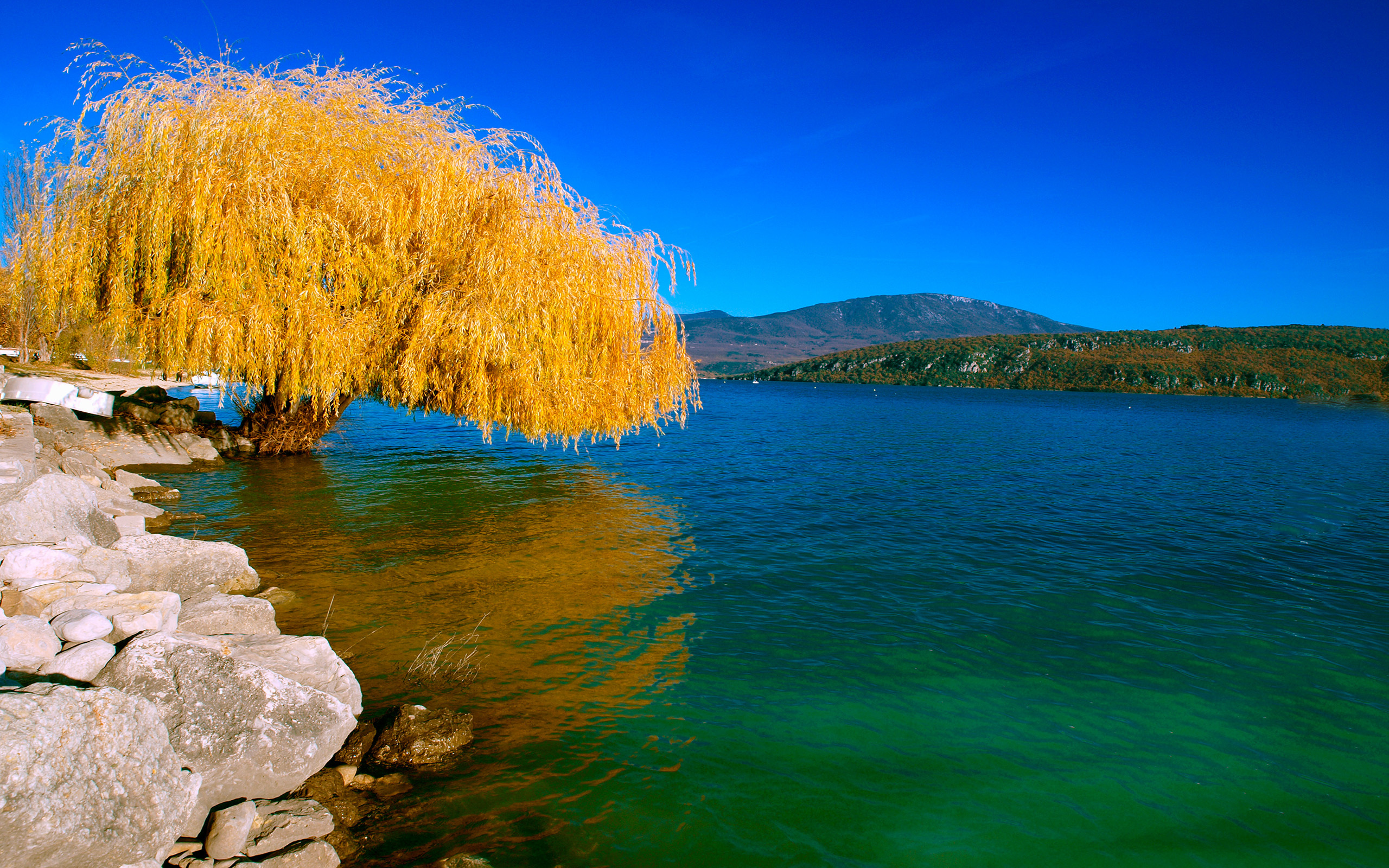 37966-2560x1600.jpg