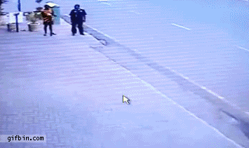1334683648_jaywalker_vs_van.gif
