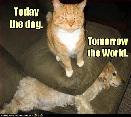 GpUwziKyaBtsAv_YIoTTLTl72eJkfbmt4t8yenImKBVaiQDB_Rd1H6kmuBWtceBJ