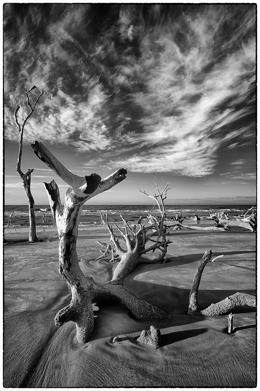 x-pro1-720nm-ir-7056-bw-cape-romain-2013.jpg