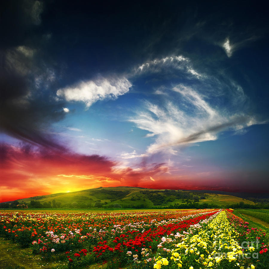 colorful-nature-boon-mee.jpg