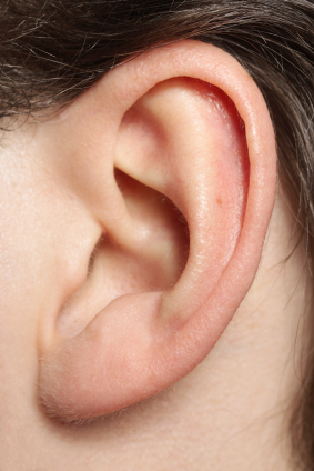 Ear.jpg