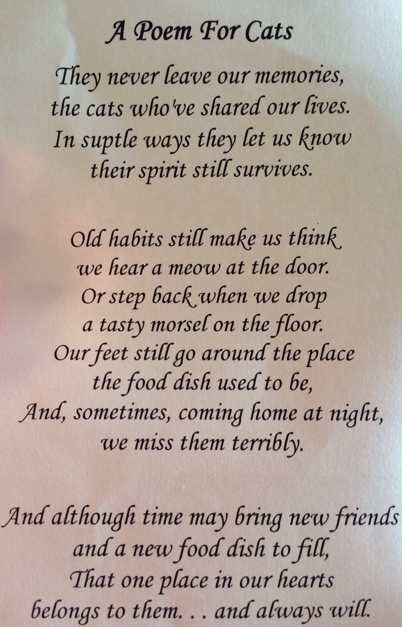 cat-poem.jpg