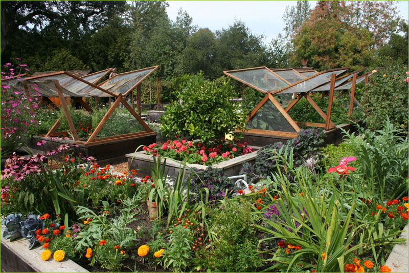 Kitchen-Potager-Garden-Pretty.jpg