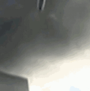 9.gif