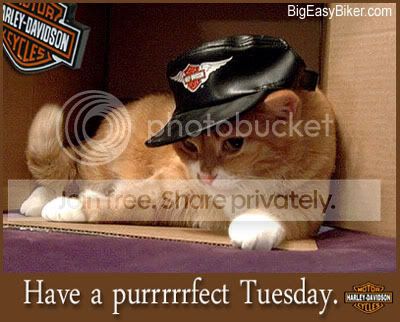 Tuesday4.jpg