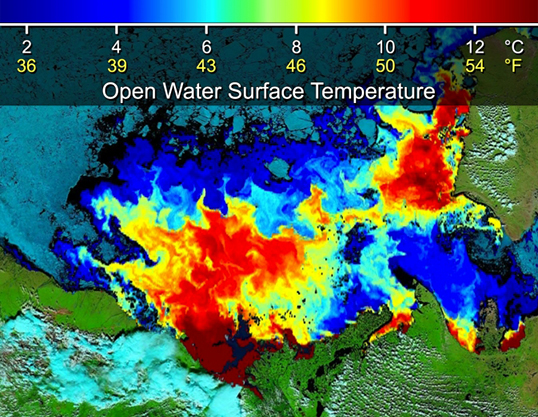 openwatersurface-2_fix_0_538px.jpg