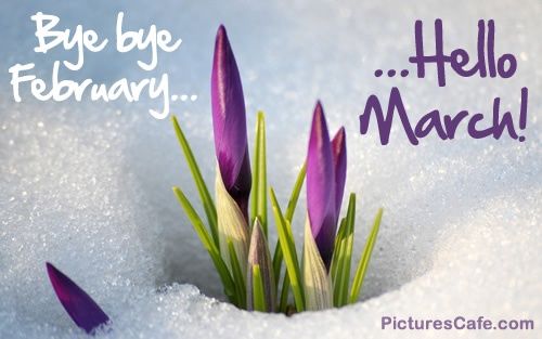 241753-Goodbye-February-Hello-March.jpg