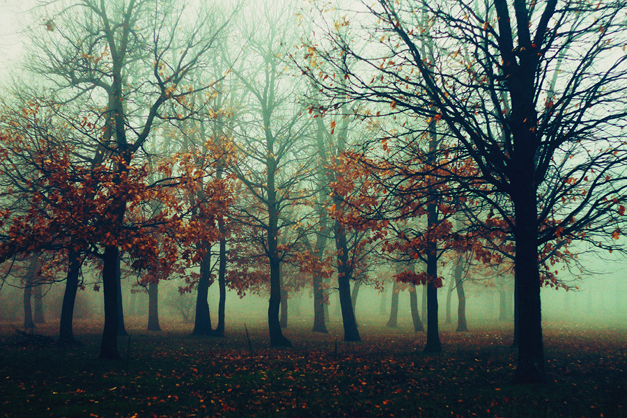 fogggd_by_ineedchemicalx-d71ll65.jpg