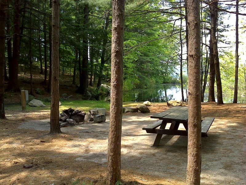 sebago-campsite_679-128.jpg