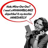 th_whambulance.jpg