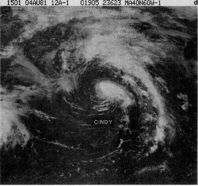 Hurricane_Cindy_(1981).JPG