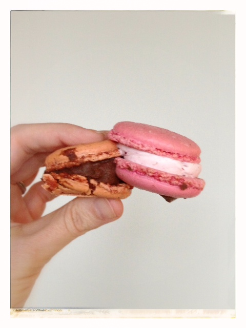 mating-macarons.jpg