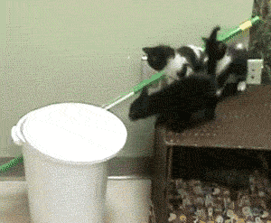 tumblr_nde062rTsY1ttjwiao1_400.gif