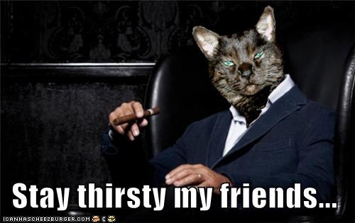 Most-interesting-cat-in-the-world.jpg